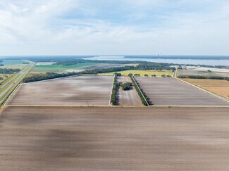 East Palatka, FL Agricultural Land - 0000 State Road 207