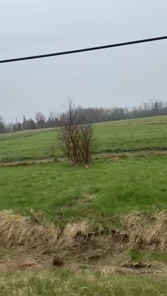 Owen Sound, ON Commercial - 202262 HWY 21