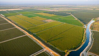Lodi, CA Agricultural Land - TFC Ranch