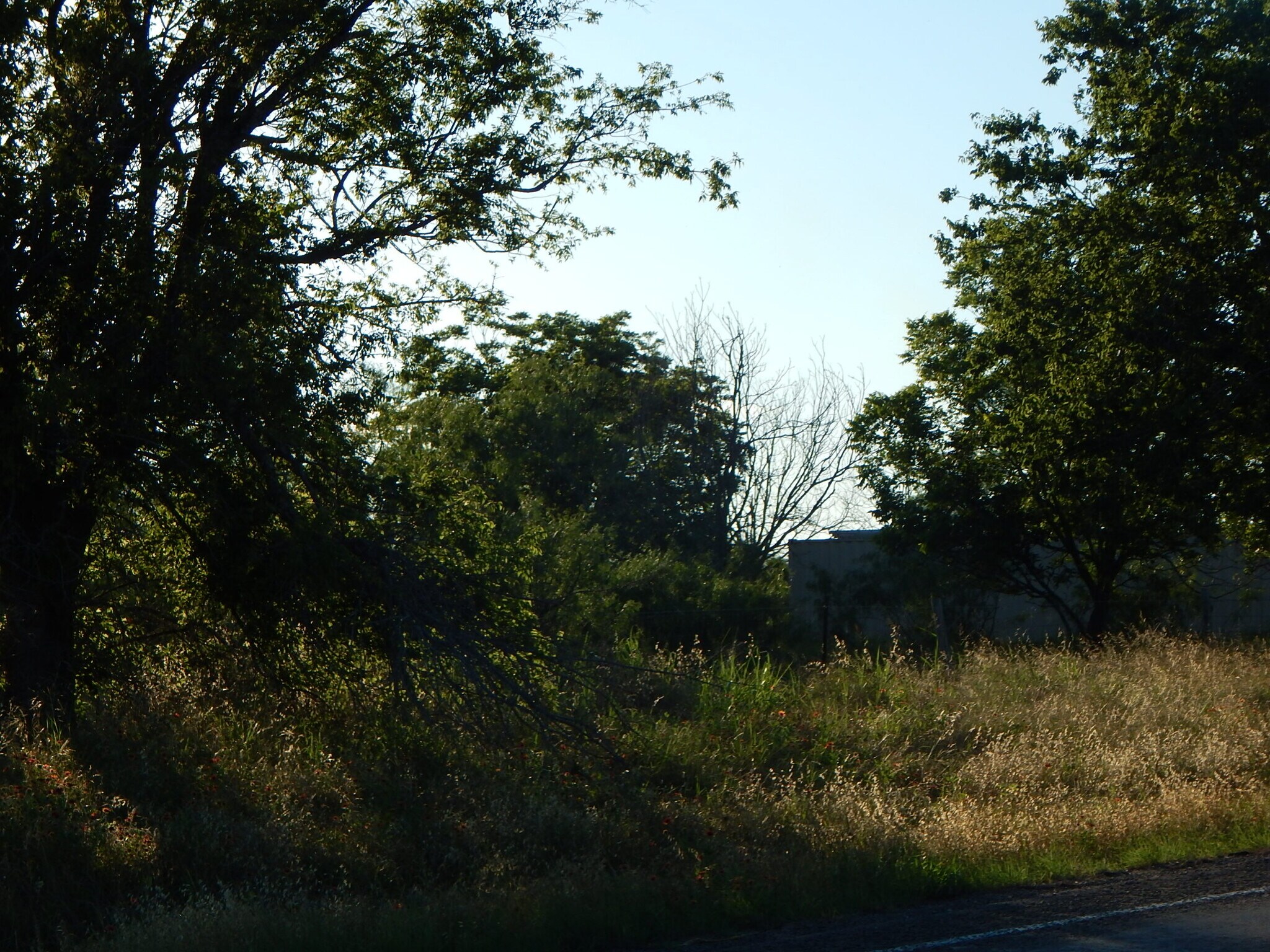 20441 FM 2268, Holland, TX for Sale