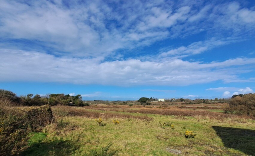 Land at Treleigh, Redruth, CON for Sale