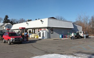 Williamston, MI Retail - 206 W Grand River Ave