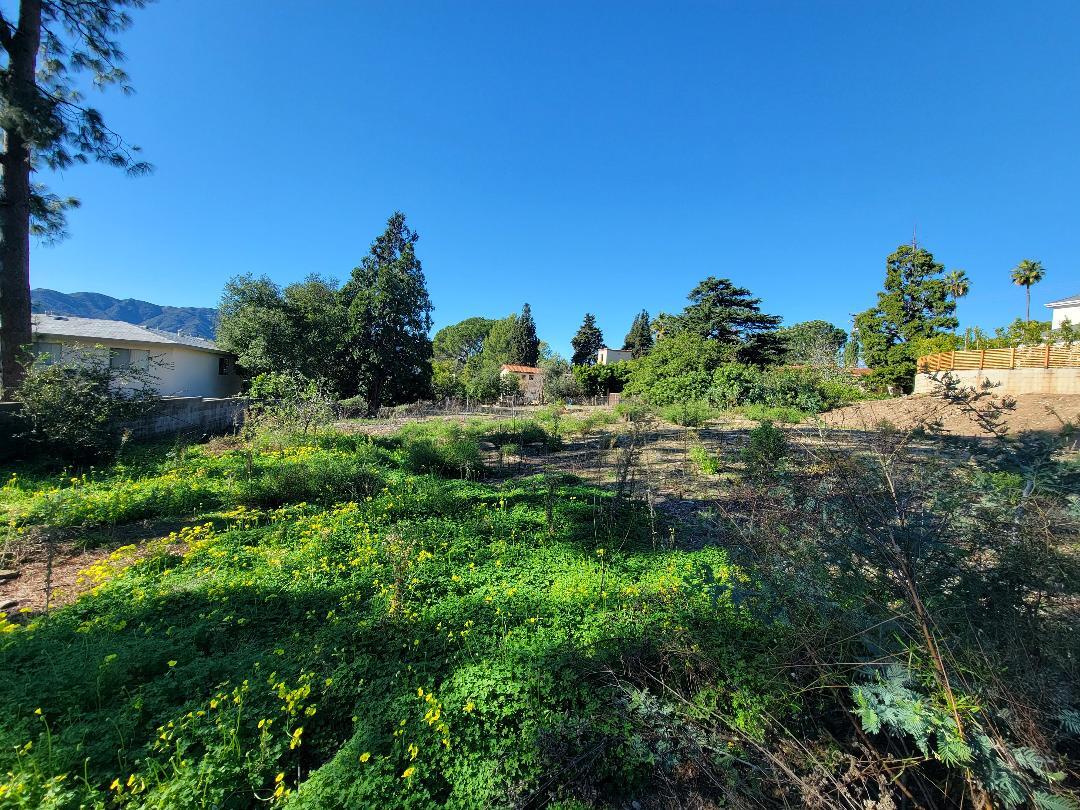 2442 Cross st, La Crescenta, CA for Sale