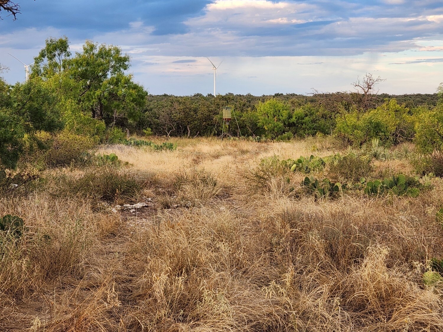 6249 Ranch Road 2402, Eden, TX for Sale