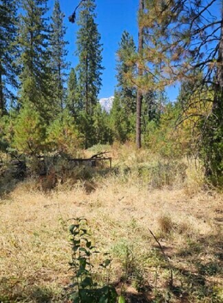 Mccloud, CA Residential Land - 12 Parkside Court