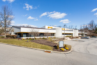 Pittsburgh, PA Flex - 500 Business Center Dr