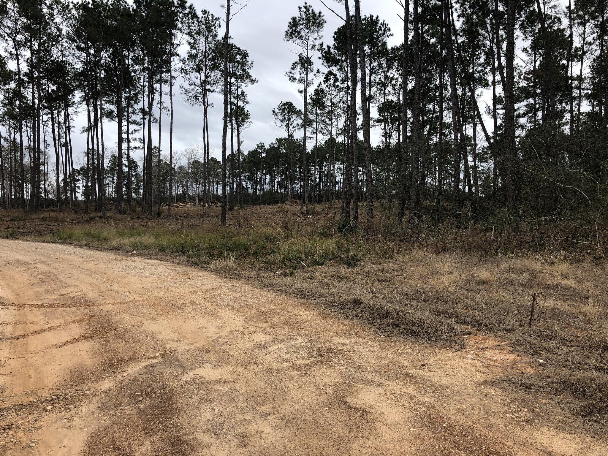 11900 Seven Coves Rd, Willis, TX for Sale