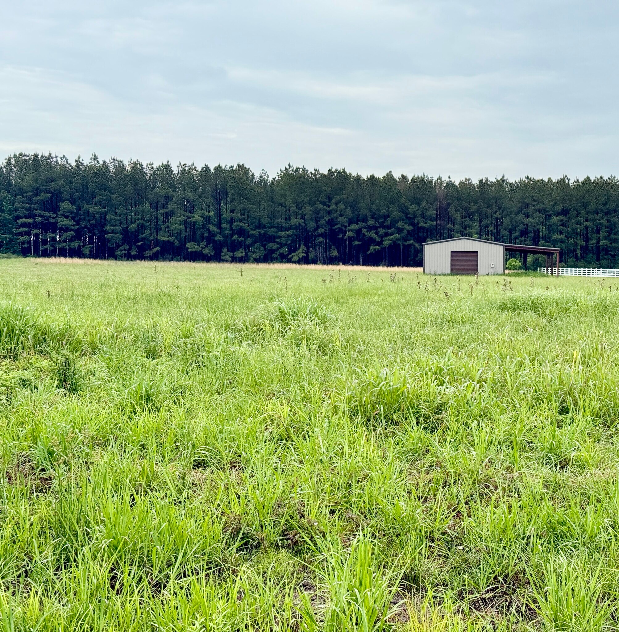 10776 Paesano Point Rd, Saint Francisville, LA for Sale