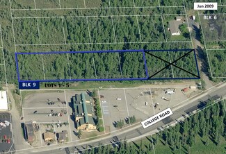 Fairbanks, AK Commercial Land - NHN College Road