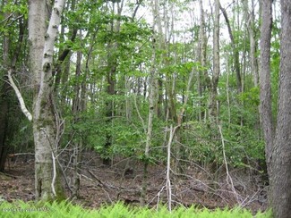 West Wyoming, PA Residential Land - 966 Shoemaker Ave