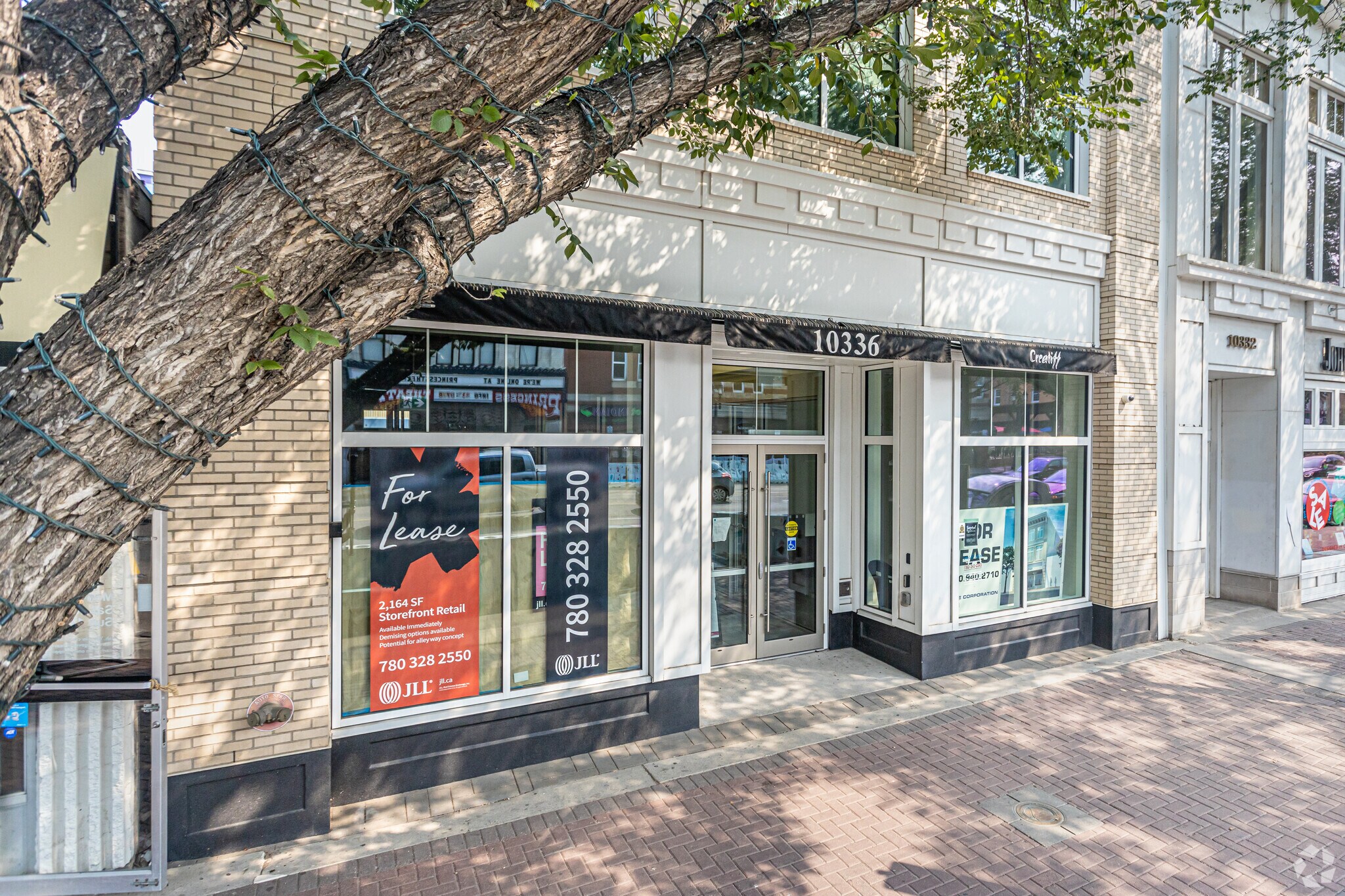 10336 82 Av NW, Edmonton, AB for Rent