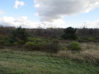 Evans Mills, NY Commercial Land - 26908 US-11
