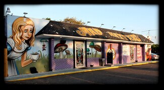 Saint Petersburg, FL undefined - 4685 28th St N