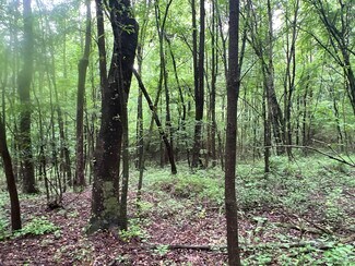 Resaca, GA Agricultural - 2895 Pine Chapel Rd NE