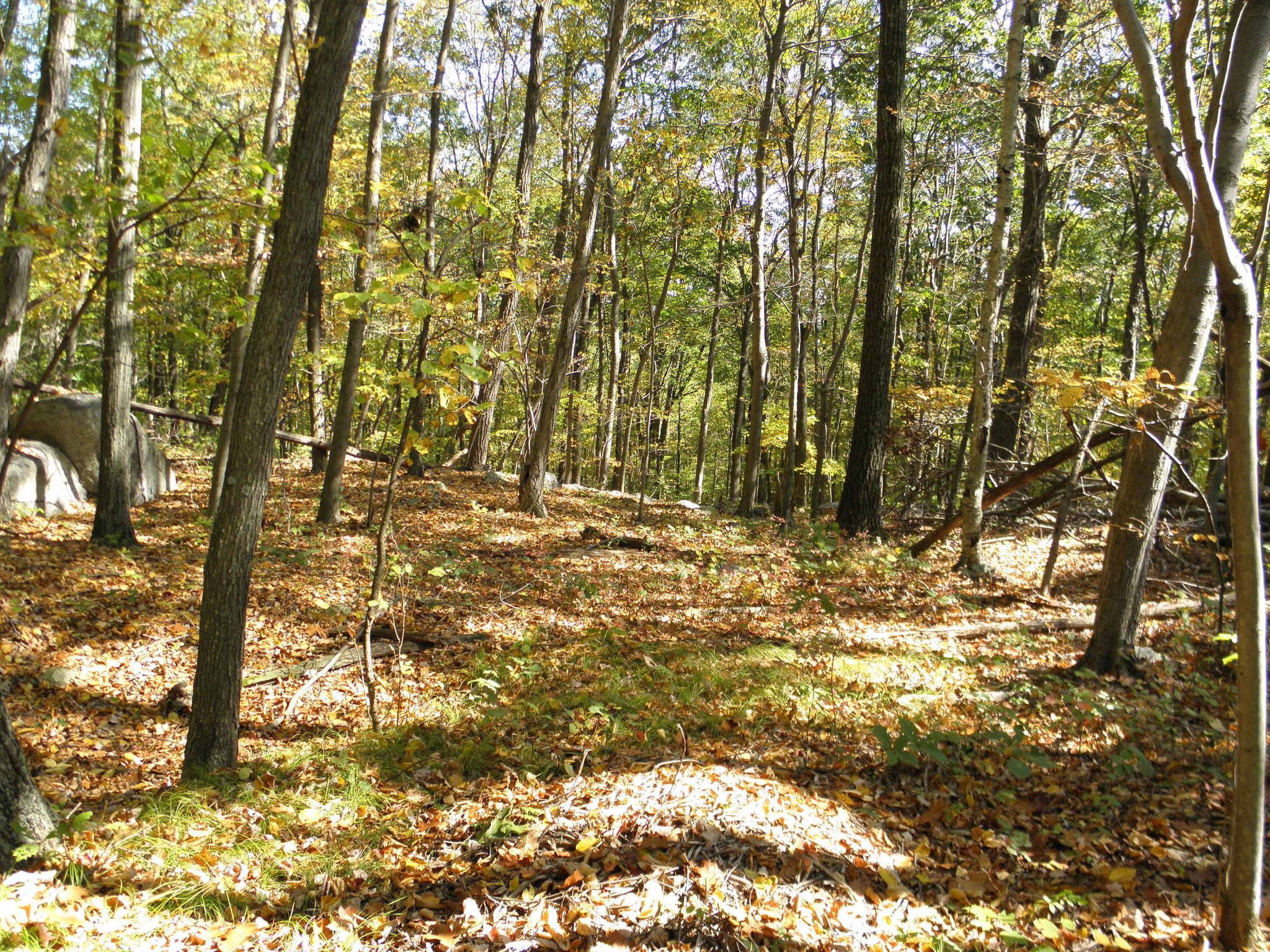 Baptist Church Rd @ Old Peckslip Rd, Carmel, NY for Sale