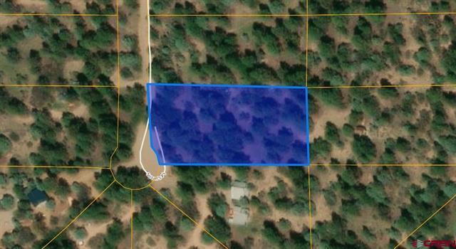 124 Susan's pl, Pagosa Springs, CO for Sale