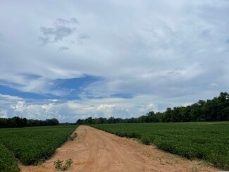 Colfax, LA Agricultural - 71 Hwy