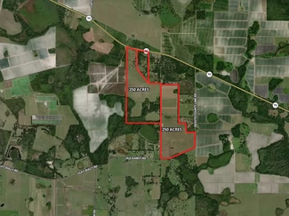 Myakka City, FL Agricultural - State 70 hwy