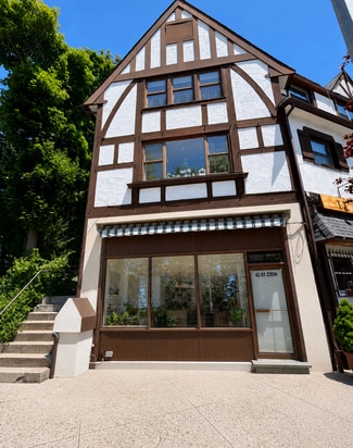 Little Neck, NY Retail - 4201 235th St