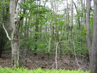 West Wyoming, PA Residential Land - 966 Shoemaker Ave