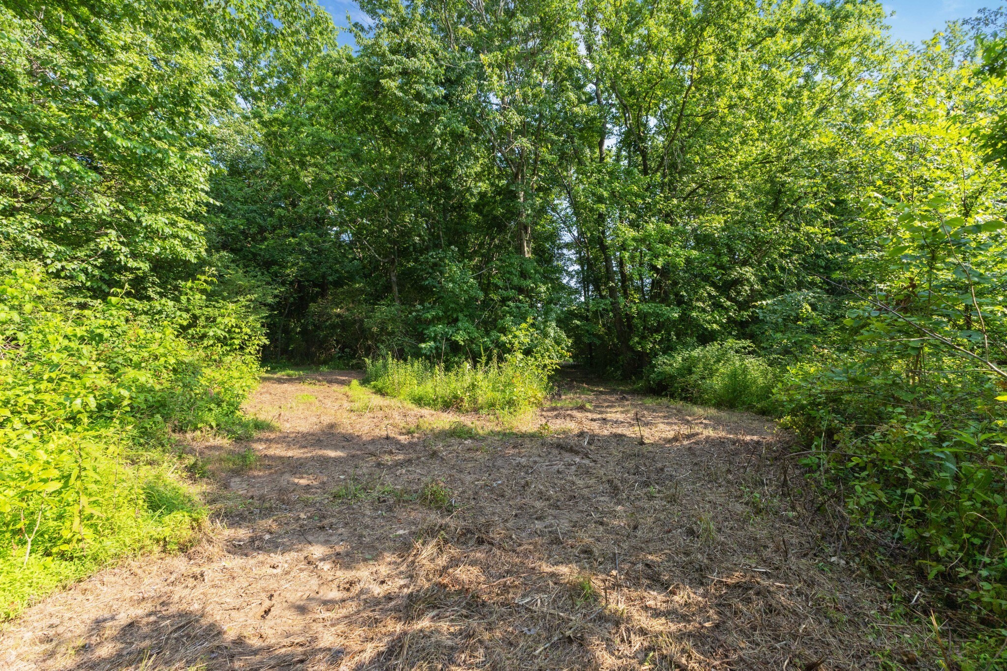 0 Hwy 41, Joelton, TN for Sale