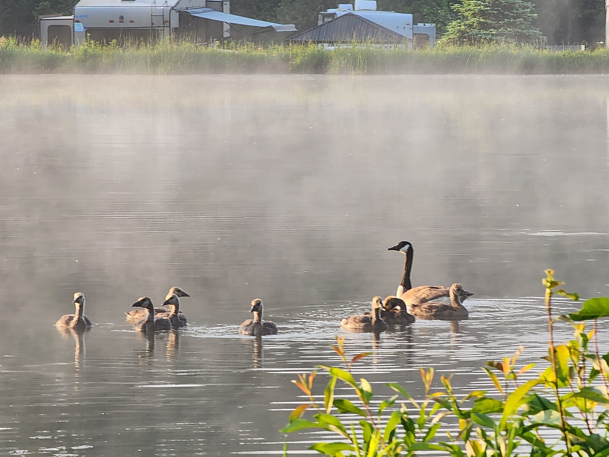 1789 Rainbow Valley Rd W, Minesing, ON for Sale