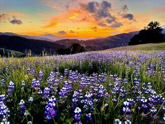 Honeydew, CA Agricultural Land - 220 Wilder Ridge rd Honeydew, CA Agricultural Land - 220 Wilder Ridge rd