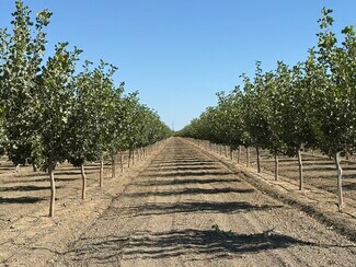 Coalinga, CA Agricultural Land - W Cole ave
