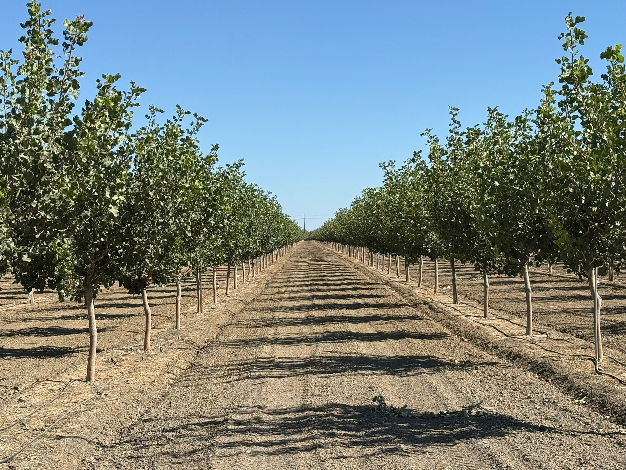 W Cole ave, Coalinga, CA for Sale