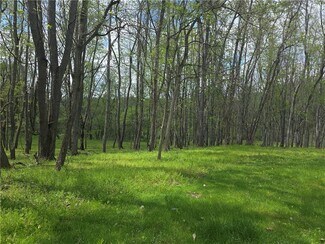 Eighty Four, PA Commercial Land - 000 Thomas Rd Eighty Four, PA Commercial Land - 000 Thomas Rd