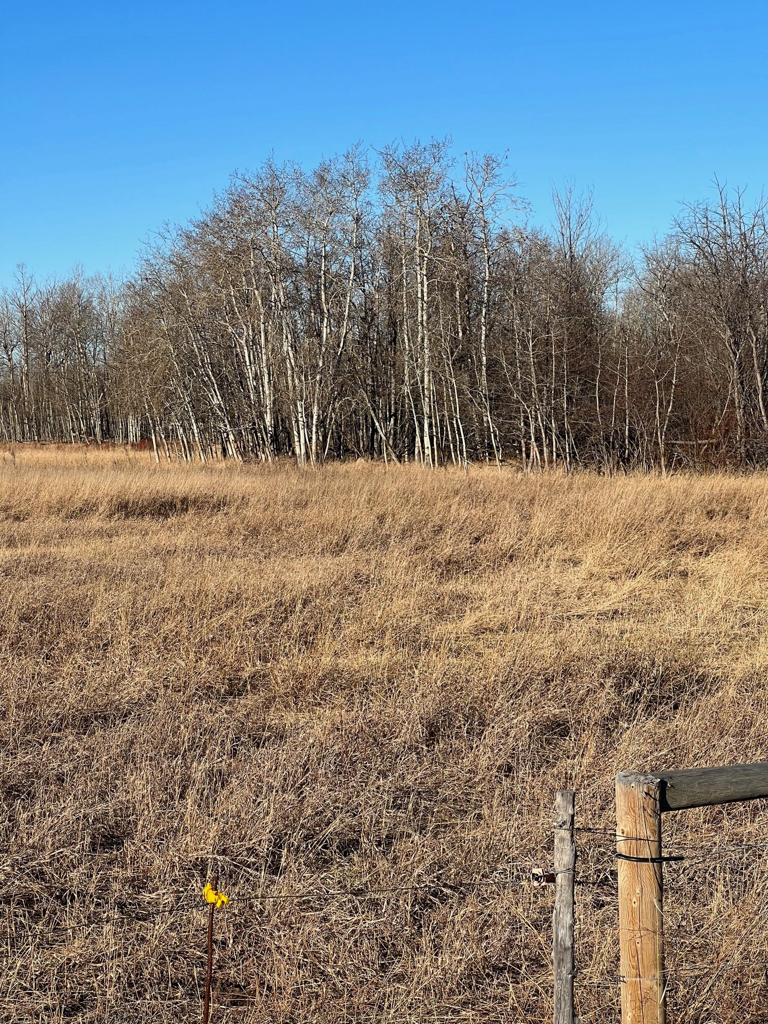 SE-32-71-5-W6, Grande Prairie, AB for Sale