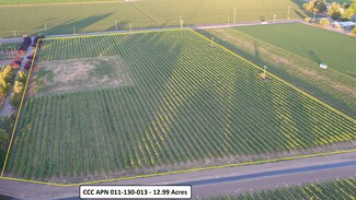 Brentwood, CA Agricultural Land - 11680 Byron hwy
