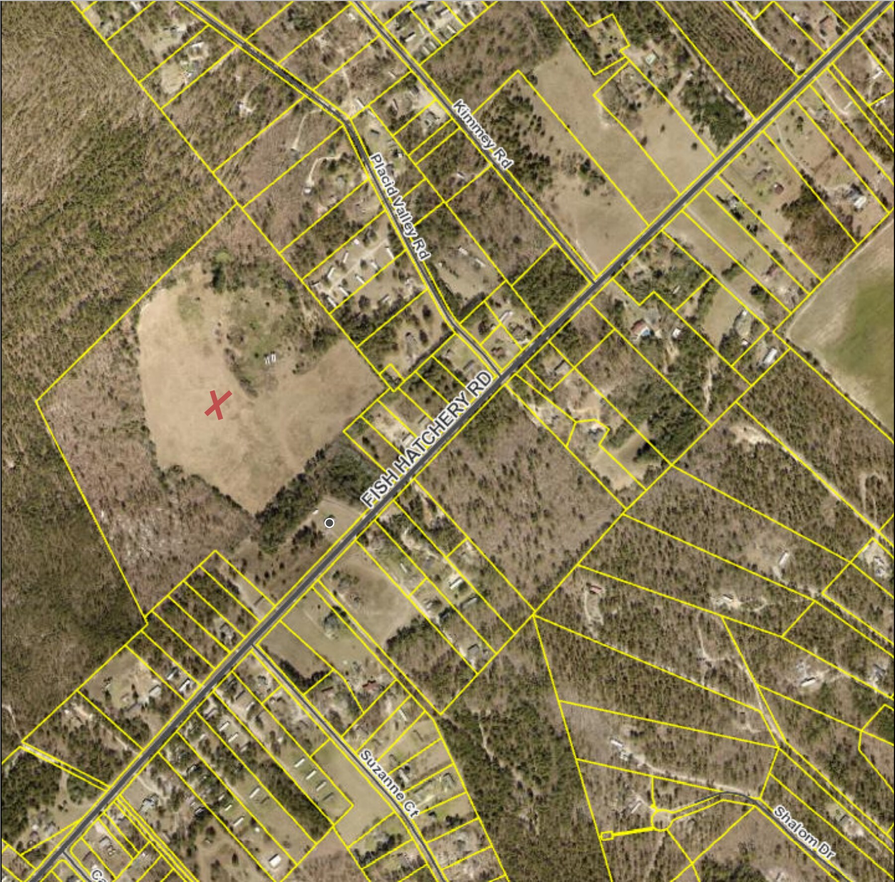 4152 Fish Hatchery Rd Gaston, SC 29053 Land Property for Sale on