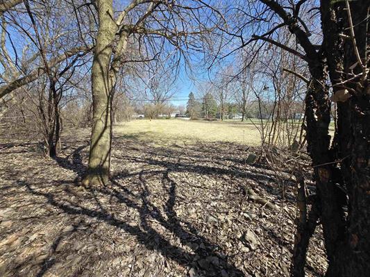 5203 N Vassar Rd, Flint, MI for Sale