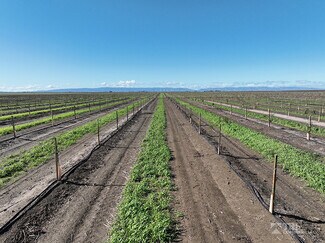 Dixon, CA Agricultural Land - 8535 Bulkley Rd