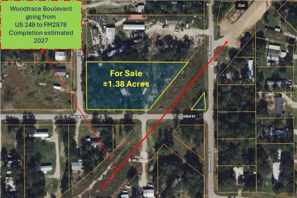 30002 Rosebud St, Magnolia, TX for Sale