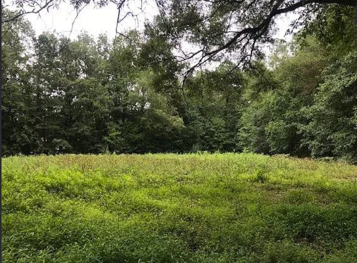 901 Mack Todd Rd, Zebulon, NC for Sale