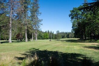 Cobb, CA Retail - 16451 Golf rd