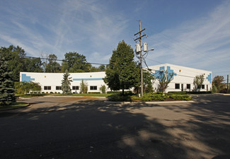 New Hudson, MI Manufacturing - 29561-29595 Costello Dr