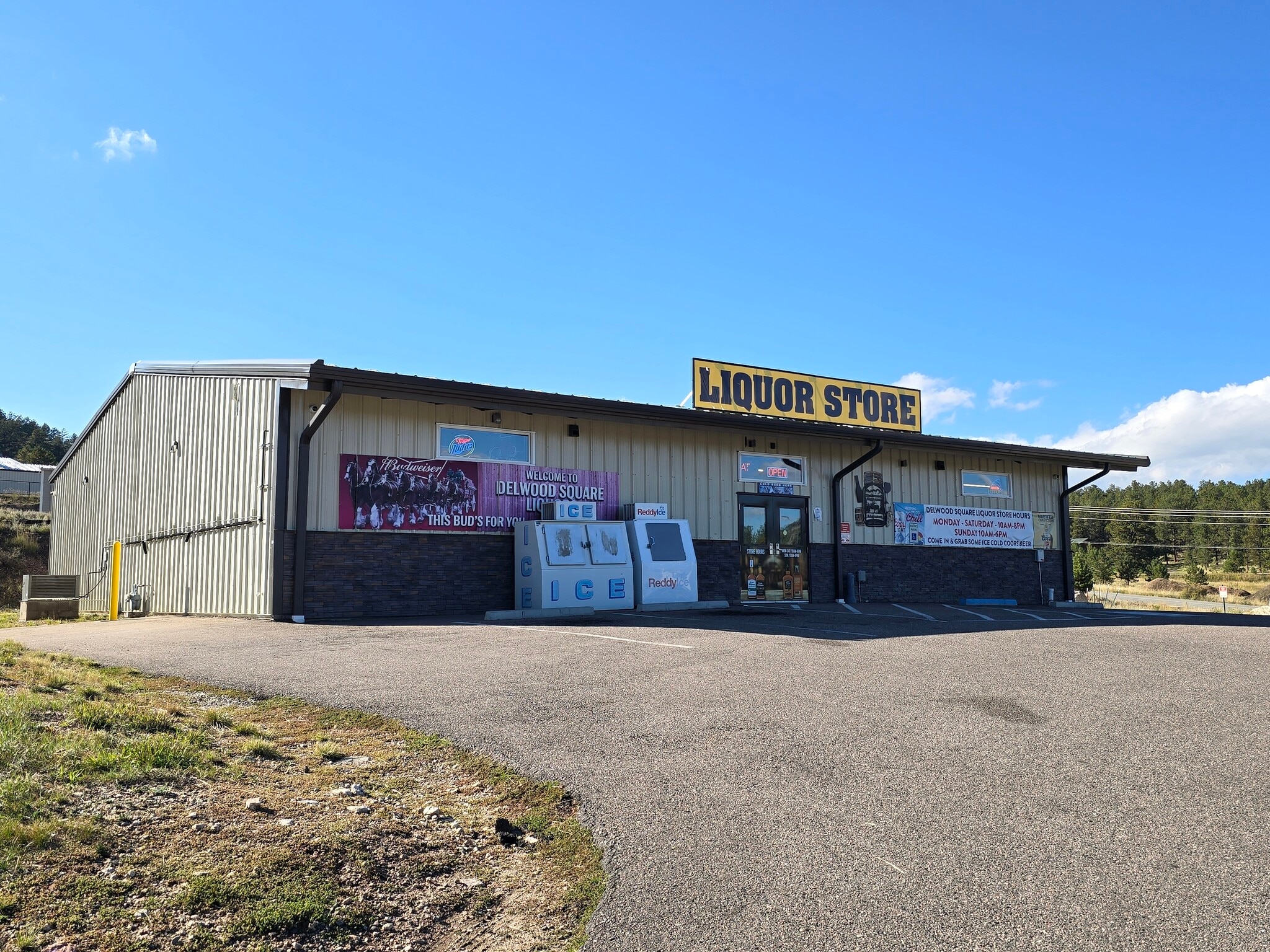 60 Bull Dogger Dr, Bailey, CO for Sale
