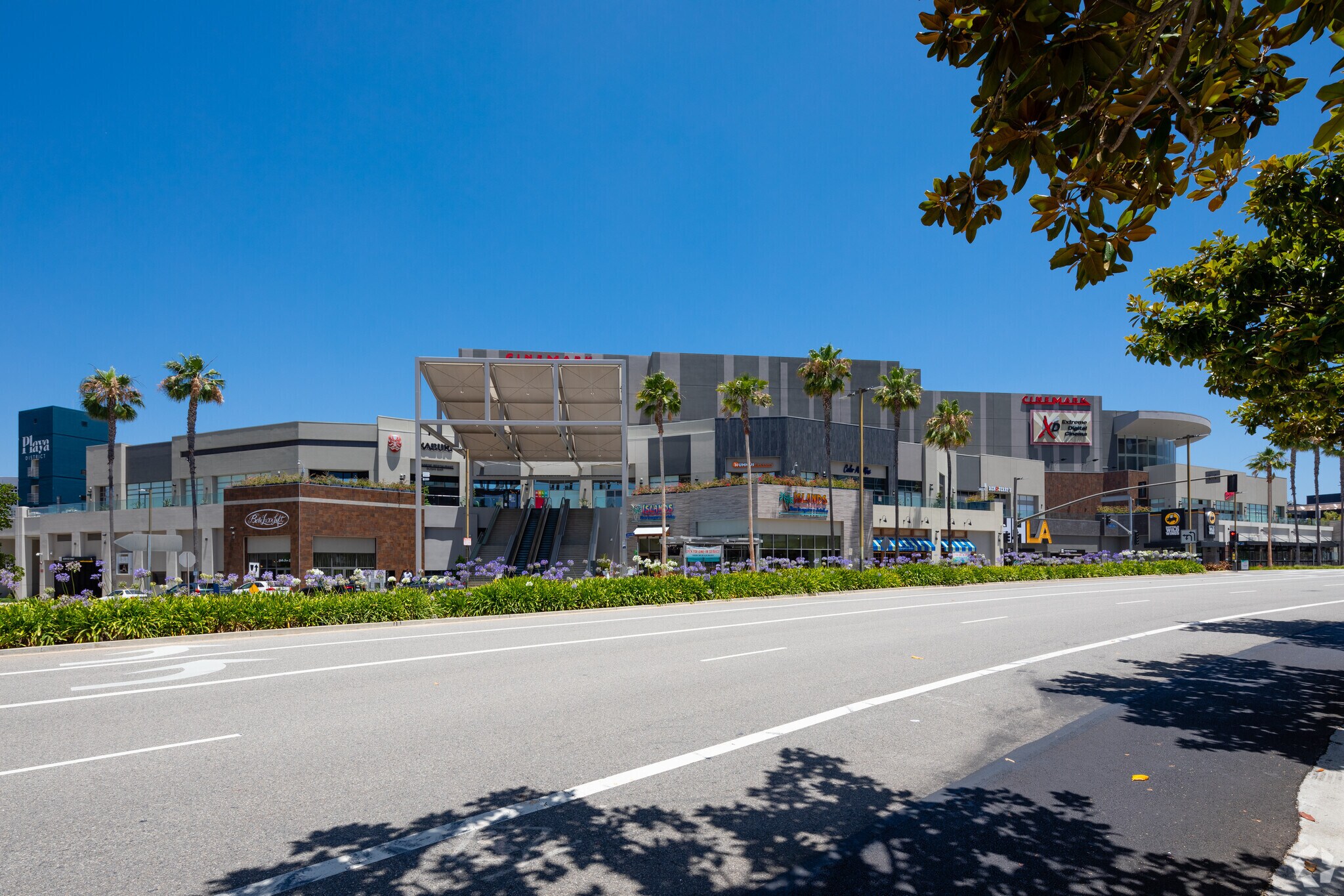 6081 Center Dr, Los Angeles, CA for Rent