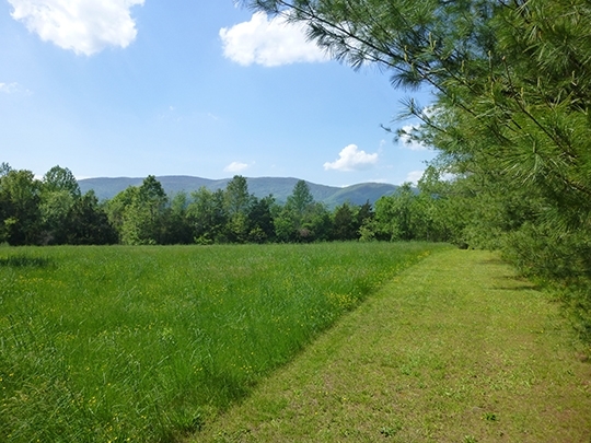 5258 Three Notch D Rd, Crozet, VA for Sale