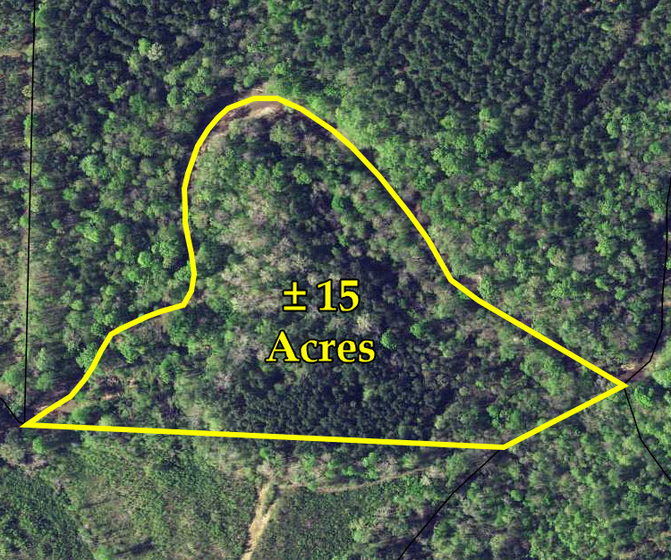 George Smith Road, Talbotton, GA for Sale
