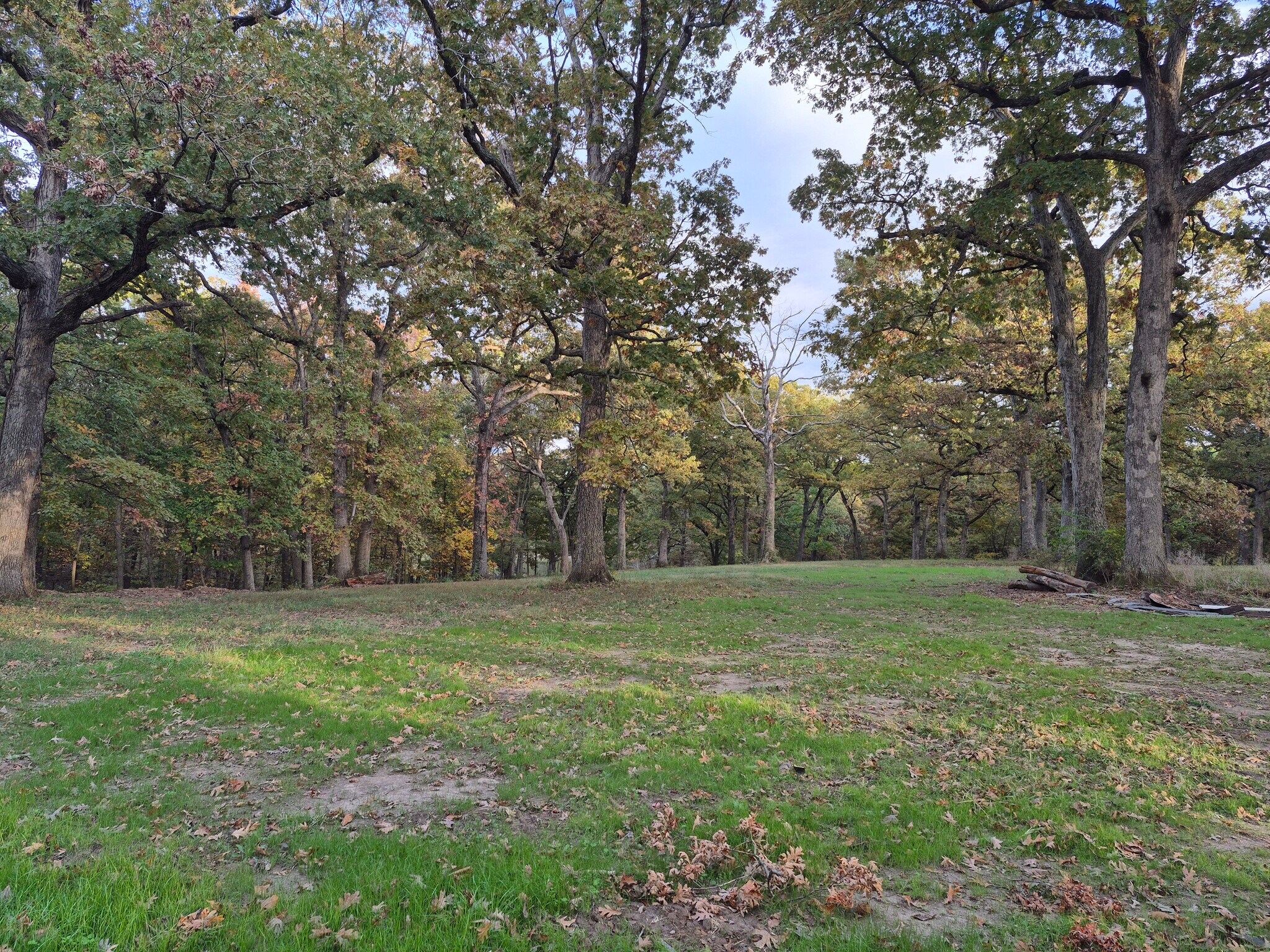 Highway D (14.4+/- Acres), Eolia, MO for Sale