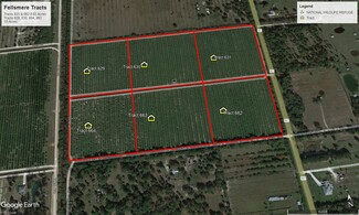 Fellsmere, FL Agricultural - 14355 115th