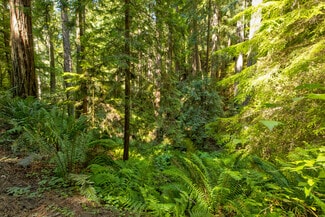 Little River, CA Residential - 33170 Frog Pond rd