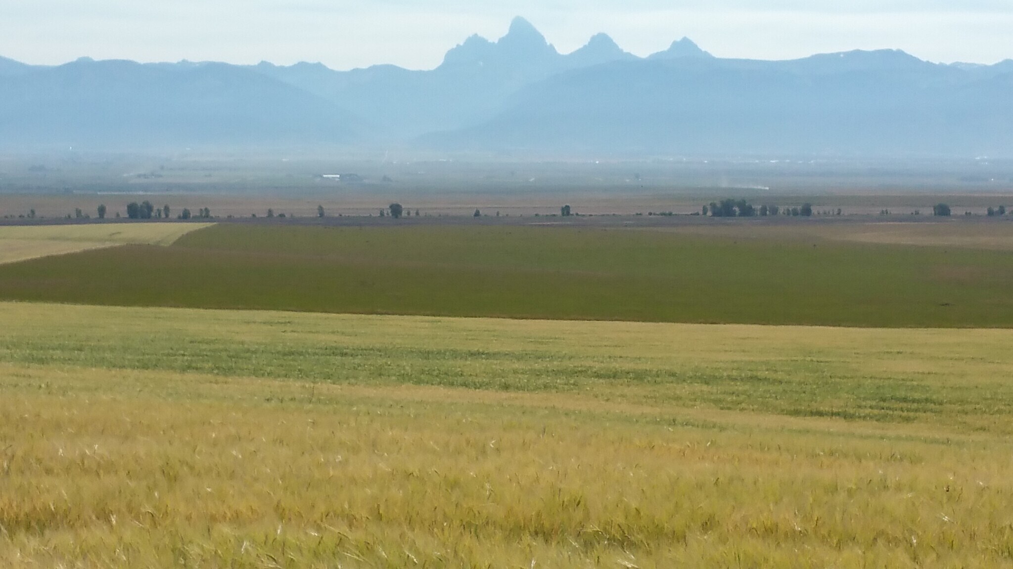 250 N 800 W, Tetonia, ID for Sale