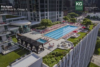 Chicago, IL Retail - 555 W Kinzie St