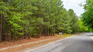 251 Wellesley Trade Ln  