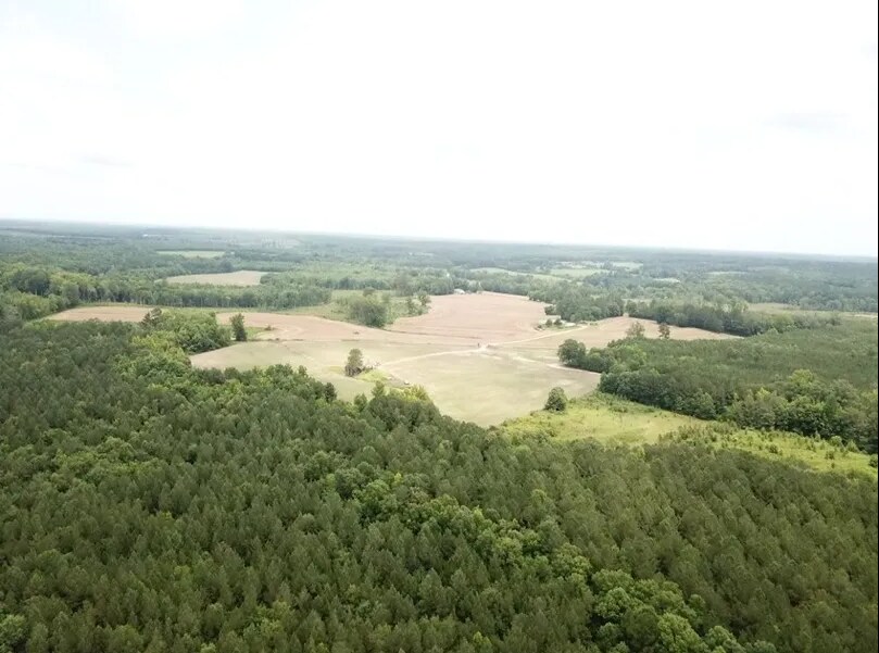 16787 Red Bud Rd, Castalia, NC for Sale